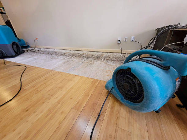 Professional Water Damage Repair technician working in Cave Junction, OR